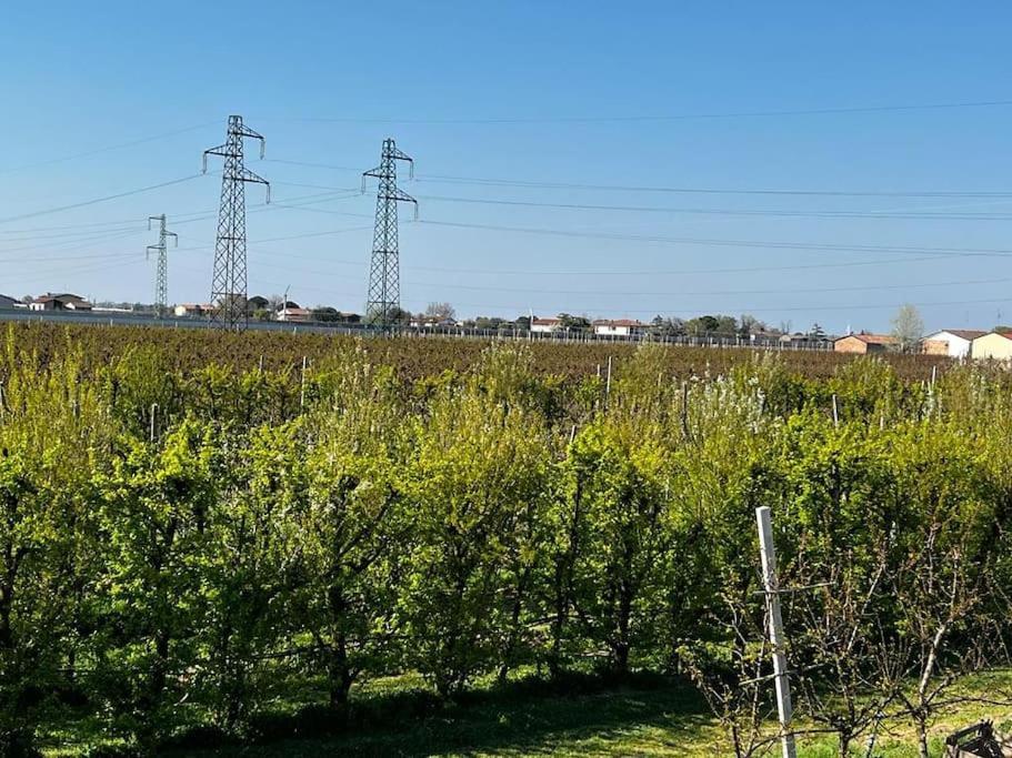 Sotto La Luna Casa In Campagna Castel Bolognese Exterior foto