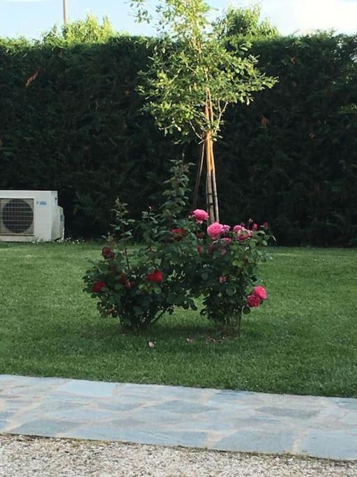 Sotto La Luna Casa In Campagna Castel Bolognese Exterior foto